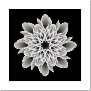 Beautiful Black and White Artistic Flower Posters and Art